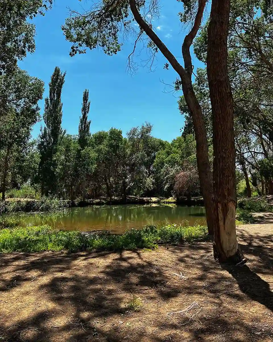 Green oasis with a pond surrounded by tall trees in Altyn-Emel National Park